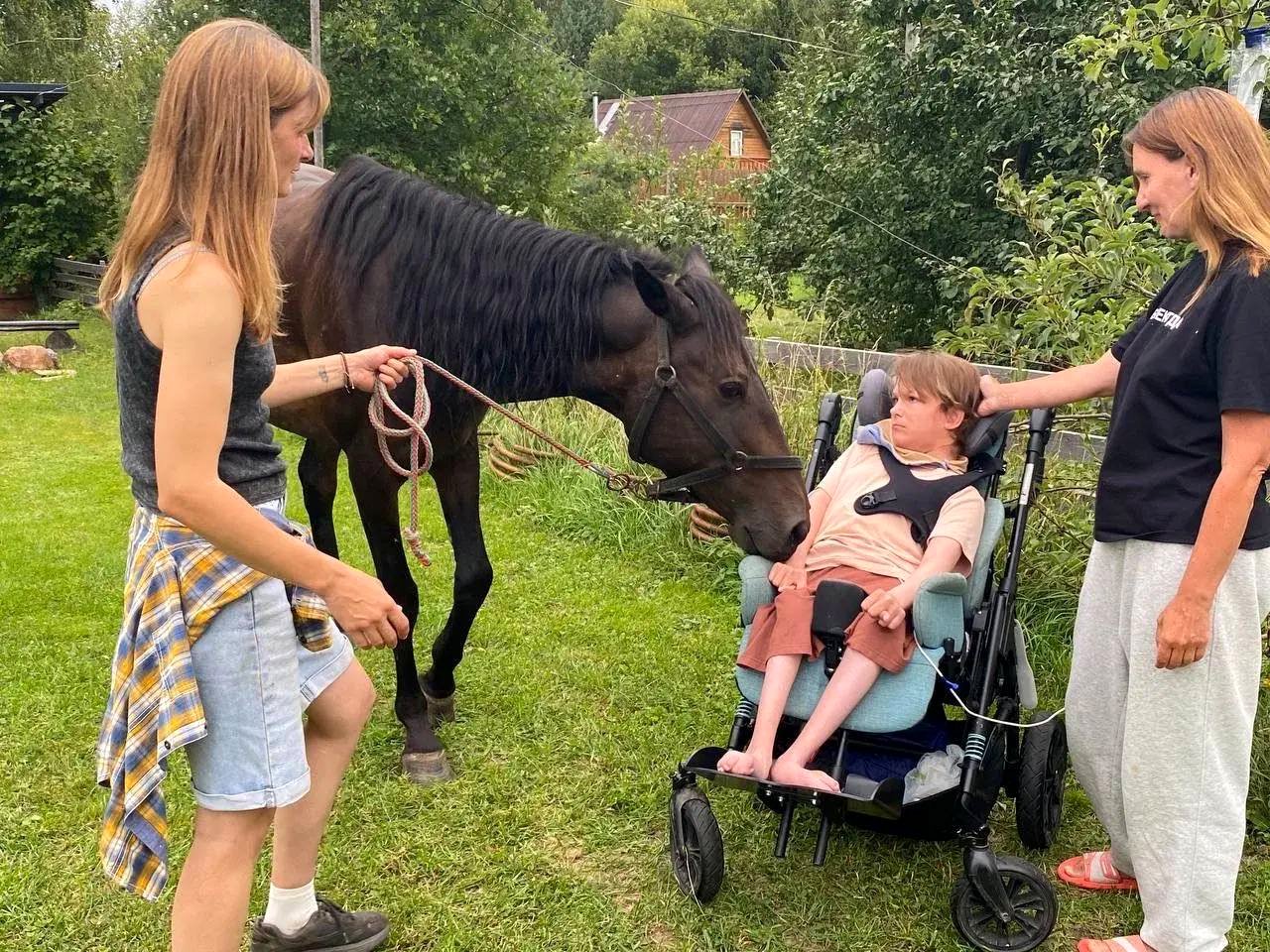 Лошадь наклоняется к мальчику в коляске